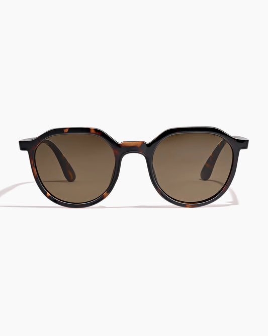 HIGHWAY TORTOISE/SEPIA SUNGLASSES