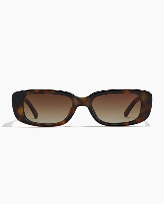 DOLLIN CAPE/TORTOISE SUNGLASSES